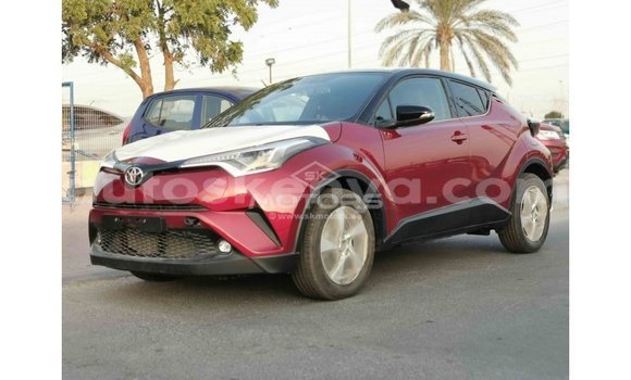 Nunua Imported Toyota C-HR Nyekundu Gari ndani ya Import - Dubai nchini Kati Kenya Nunua Imported Toyota C-HR Nyekundu Gari ndani ya Import - Dubai nchini Kati Kenya