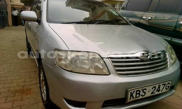 Oofamaa Toyota Corolla Silver Makiinaa iti Nairobi keessatti Nairobi keessatti Oofamaa Toyota Corolla Silver Makiinaa iti Nairobi keessatti Nairobi keessatti