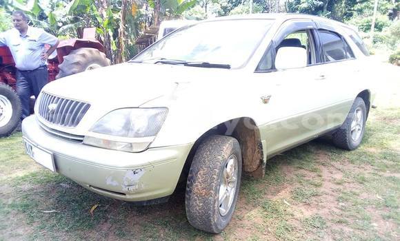 Nunua Ilio tumika Toyota Harrier Nyeupe Gari ndani ya Nairobi nchini Nairobi Nunua Ilio tumika Toyota Harrier Nyeupe Gari ndani ya Nairobi nchini Nairobi