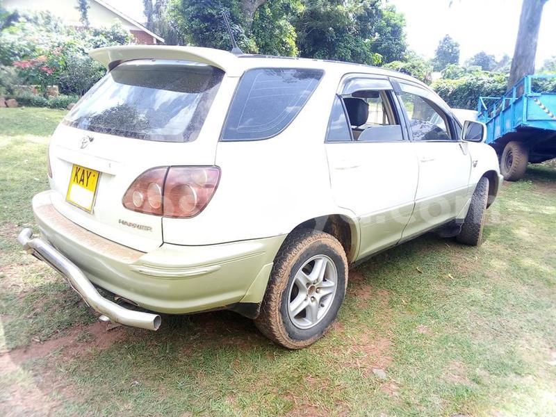 Big with watermark 37233568 1016028385225558 5999185567156273152 n