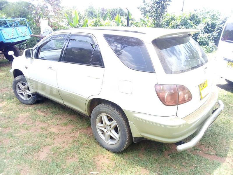 Big with watermark 37324715 1016028335225563 8302563217897422848 n