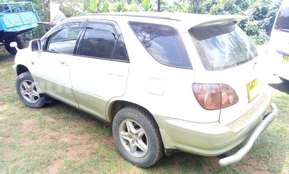 Nunua Ilio tumika Toyota Harrier Nyeupe Gari ndani ya Nairobi nchini Nairobi Nunua Ilio tumika Toyota Harrier Nyeupe Gari ndani ya Nairobi nchini Nairobi