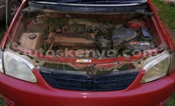 Nunua Ilio tumika Toyota Spacio Nyekundu Gari ndani ya Nairobi nchini Nairobi Nunua Ilio tumika Toyota Spacio Nyekundu Gari ndani ya Nairobi nchini Nairobi