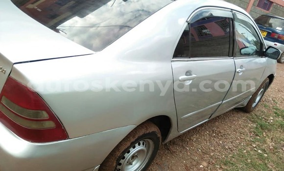 Buy Used Toyota Corolla Silver Car in Nairobi in Nairobi Buy Used Toyota Corolla Silver Car in Nairobi in Nairobi
