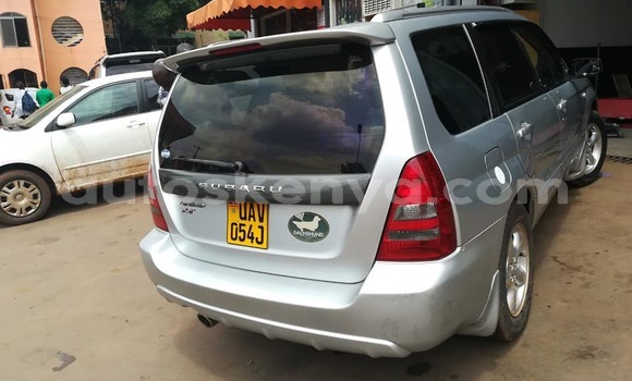 Buy Used Subaru Forester Silver Car in Nairobi in Nairobi Buy Used Subaru Forester Silver Car in Nairobi in Nairobi