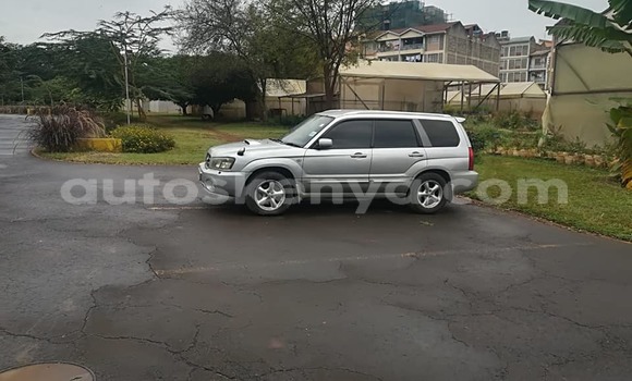 Buy Used Subaru Forester Silver Car in Nairobi in Nairobi Buy Used Subaru Forester Silver Car in Nairobi in Nairobi