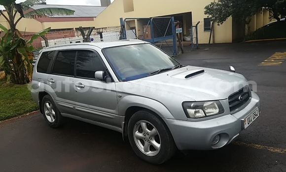 Buy Used Subaru Forester Silver Car in Nairobi in Nairobi Buy Used Subaru Forester Silver Car in Nairobi in Nairobi