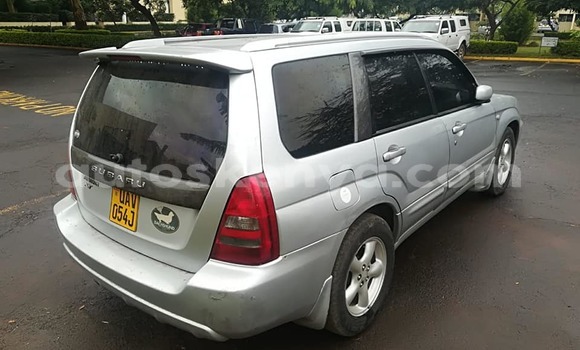 Buy Used Subaru Forester Silver Car in Nairobi in Nairobi Buy Used Subaru Forester Silver Car in Nairobi in Nairobi