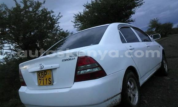 Buy Used Toyota Corolla White Car in Nairobi in Nairobi Buy Used Toyota Corolla White Car in Nairobi in Nairobi