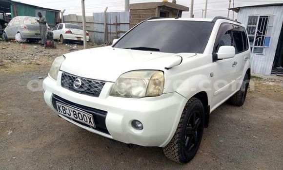 Medium with watermark 37419311 1669190866512995 4486465336379441152 n