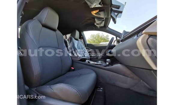 Buy Import Toyota C-HR Other Car in Import - Dubai in Central Kenya Buy Import Toyota C-HR Other Car in Import - Dubai in Central Kenya