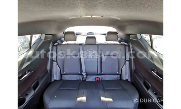 Buy Import Toyota C-HR Other Car in Import - Dubai in Central Kenya Buy Import Toyota C-HR Other Car in Import - Dubai in Central Kenya