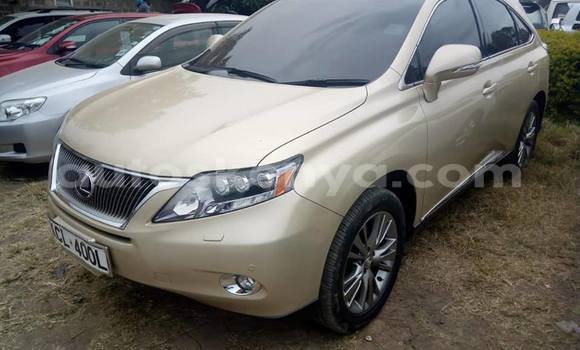 Oofamaa Lexus RX 350 Brown Makiinaa iti Nairobi keessatti Nairobi keessatti Oofamaa Lexus RX 350 Brown Makiinaa iti Nairobi keessatti Nairobi keessatti