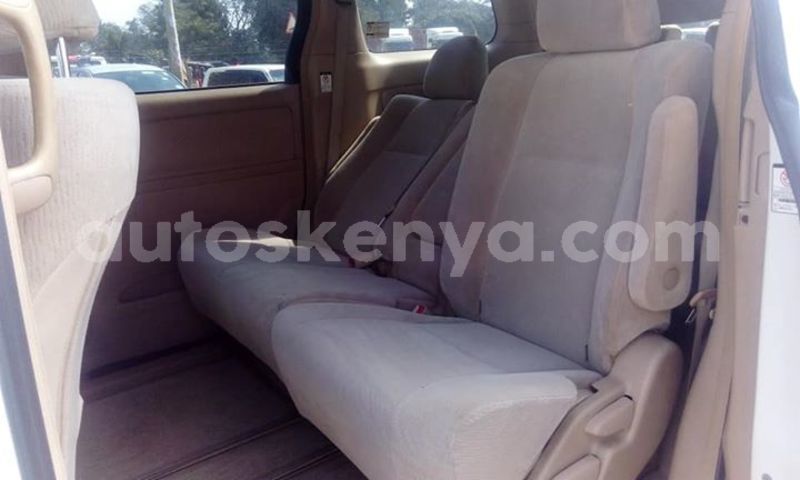 Big with watermark 37976173 310119682887150 5687026966125871104 n