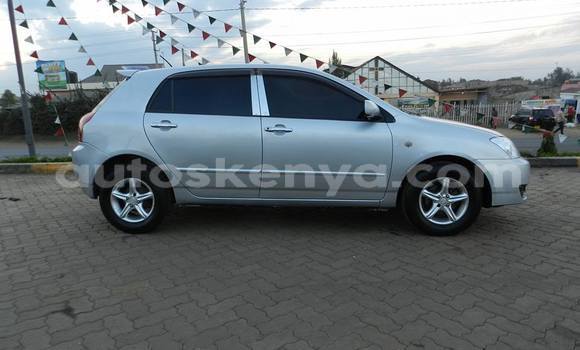 Oofamaa Toyota Runx Silver Makiinaa iti Nairobi keessatti Nairobi keessatti Oofamaa Toyota Runx Silver Makiinaa iti Nairobi keessatti Nairobi keessatti