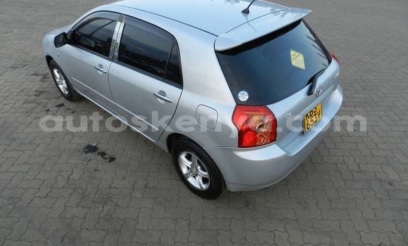 Oofamaa Toyota Runx Silver Makiinaa iti Nairobi keessatti Nairobi keessatti Oofamaa Toyota Runx Silver Makiinaa iti Nairobi keessatti Nairobi keessatti