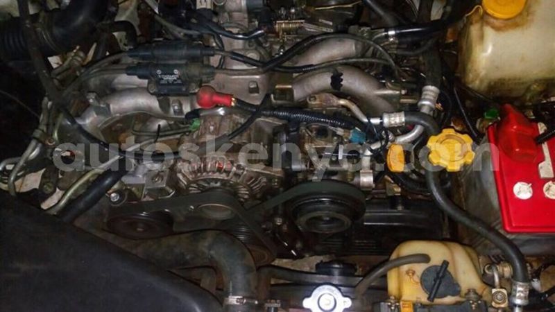 Big with watermark 38277367 1966321453389823 1579021202838519808 o