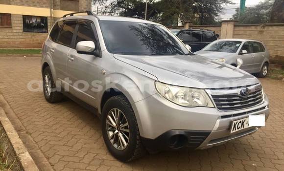 Buy Used Subaru Forester Silver Car in Nairobi in Nairobi Buy Used Subaru Forester Silver Car in Nairobi in Nairobi