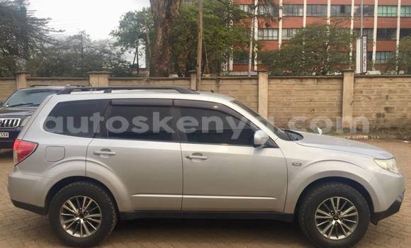 Buy Used Subaru Forester Silver Car in Nairobi in Nairobi Buy Used Subaru Forester Silver Car in Nairobi in Nairobi