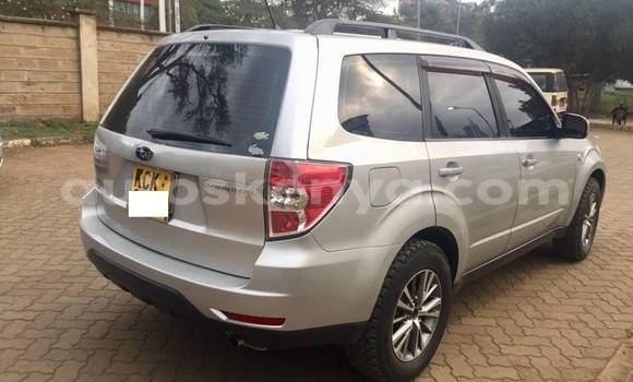 Buy Used Subaru Forester Silver Car in Nairobi in Nairobi Buy Used Subaru Forester Silver Car in Nairobi in Nairobi