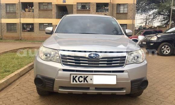 Buy Used Subaru Forester Silver Car in Nairobi in Nairobi Buy Used Subaru Forester Silver Car in Nairobi in Nairobi