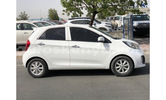 Imported Kia Picanto White Makiinaa iti Import - Dubai keessatti Central Kenya keessatti Imported Kia Picanto White Makiinaa iti Import - Dubai keessatti Central Kenya keessatti