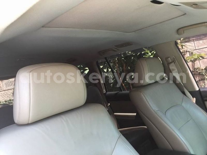 Big with watermark 38839117 10212579242505002 2424698292030930944 n