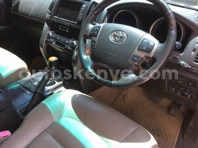 Big with watermark 38942563 10212579241984989 337450825917923328 n