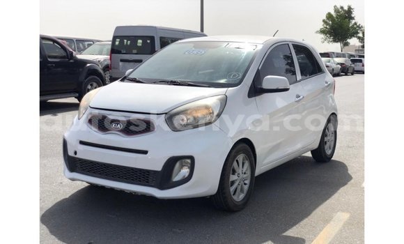 Buy Import Kia Picanto White Car in Import - Dubai in Central Kenya Buy Import Kia Picanto White Car in Import - Dubai in Central Kenya
