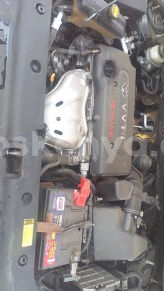 Big with watermark 39535928 480740645726448 8816039584770031616 n