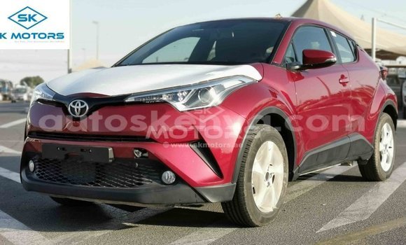 Imported Toyota C-HR Red Makiinaa iti Import - Dubai keessatti Central Kenya keessatti Imported Toyota C-HR Red Makiinaa iti Import - Dubai keessatti Central Kenya keessatti