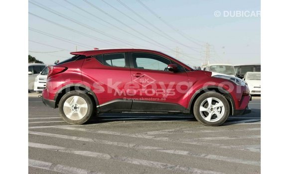Imported Toyota C-HR Red Makiinaa iti Import - Dubai keessatti Central Kenya keessatti Imported Toyota C-HR Red Makiinaa iti Import - Dubai keessatti Central Kenya keessatti
