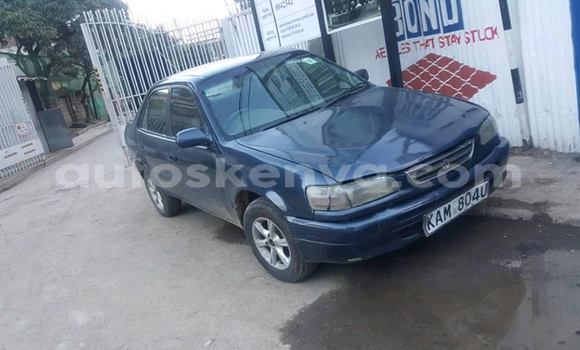 Nunua Ilio tumika Toyota Corolla Bluu Gari ndani ya Nairobi nchini Nairobi Nunua Ilio tumika Toyota Corolla Bluu Gari ndani ya Nairobi nchini Nairobi