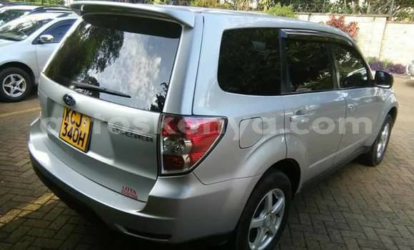 Buy Used Subaru Forester Silver Car in Nairobi in Nairobi Buy Used Subaru Forester Silver Car in Nairobi in Nairobi