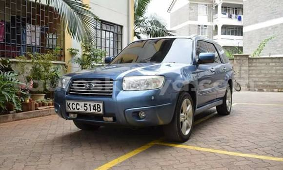 Buy Used Subaru Forester Blue Car in Nairobi in Nairobi Buy Used Subaru Forester Blue Car in Nairobi in Nairobi