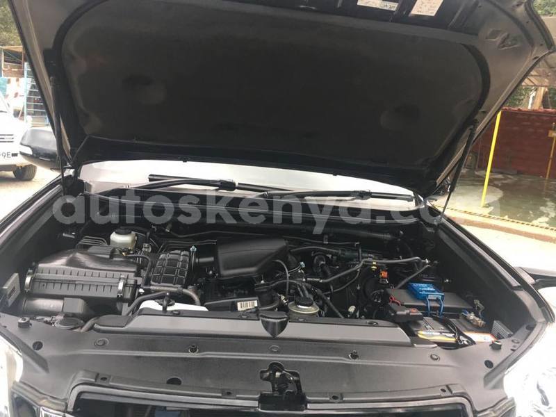 Big with watermark 39962586 2250582268503220 606998034202492928 n