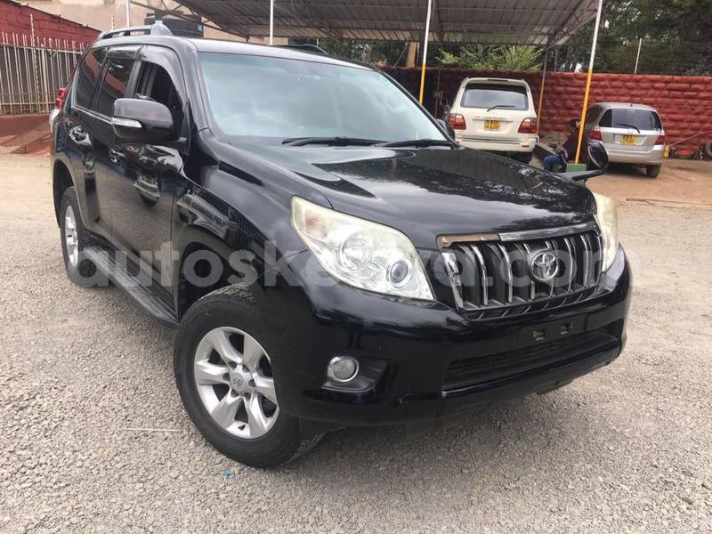 Big with watermark 40029544 2250317348529712 5416239611804385280 n