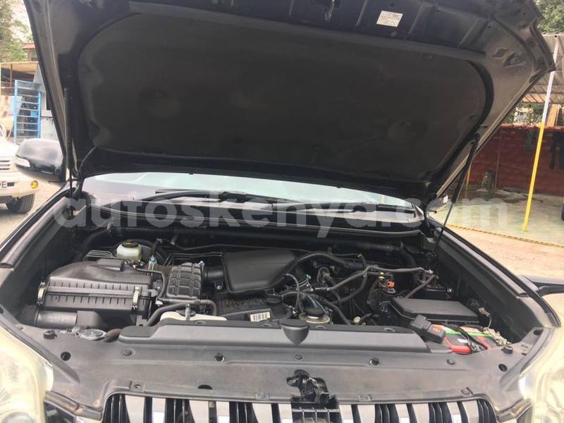 Big with watermark 40004187 2250317408529706 7130843045162909696 n