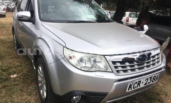 Buy Used Subaru Forester Silver Car in Nairobi in Nairobi Buy Used Subaru Forester Silver Car in Nairobi in Nairobi