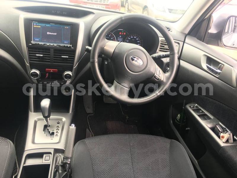 Big with watermark 39846786 2246272768934170 913741780984266752 n