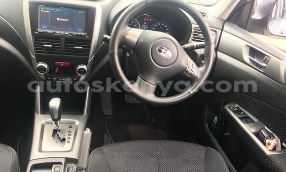 Buy Used Subaru Forester Silver Car in Nairobi in Nairobi Buy Used Subaru Forester Silver Car in Nairobi in Nairobi