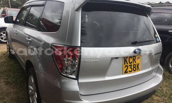 Buy Used Subaru Forester Silver Car in Nairobi in Nairobi Buy Used Subaru Forester Silver Car in Nairobi in Nairobi
