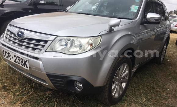 Buy Used Subaru Forester Silver Car in Nairobi in Nairobi Buy Used Subaru Forester Silver Car in Nairobi in Nairobi