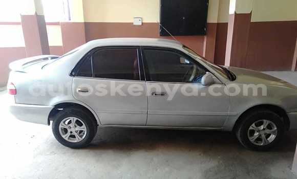 Nunua Ilio tumika Toyota Corolla Fedha Gari ndani ya Meru nchini Mashariki ya Kenya
