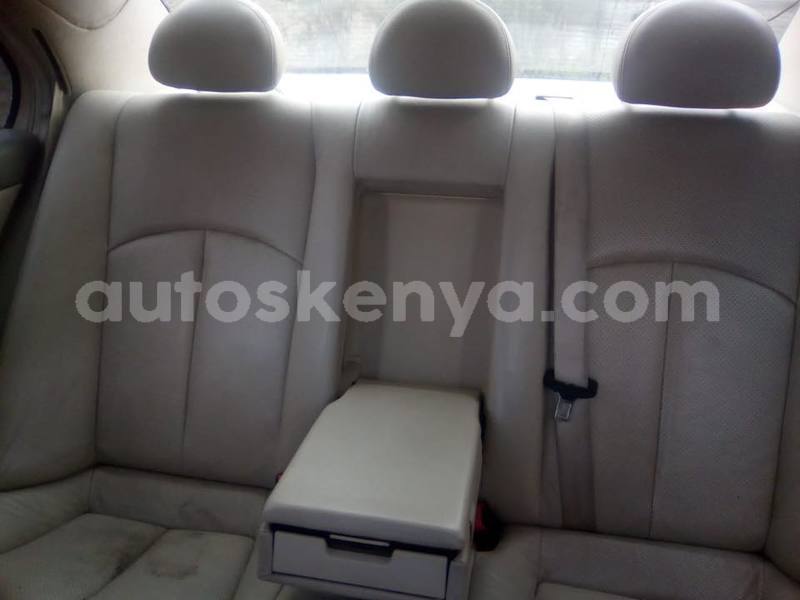 Big with watermark 40748180 2256825297878917 6159202107141390336 n