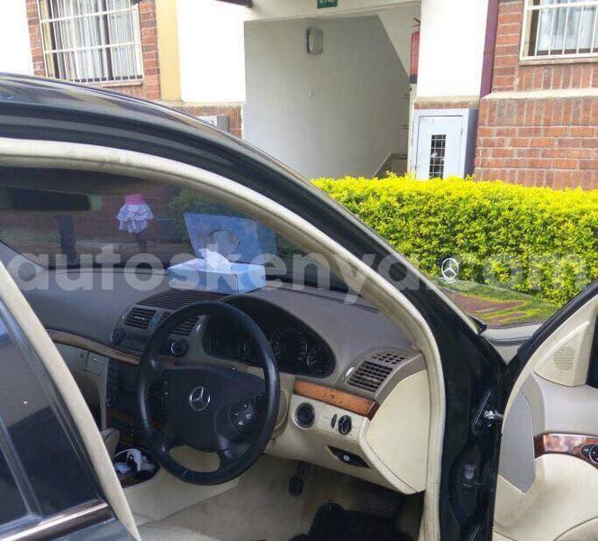 Big with watermark 40792359 2256825211212259 9125010787490856960 n