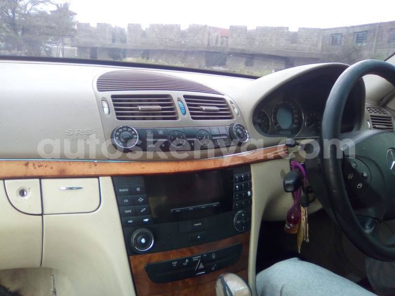 Big with watermark 40685543 2256825247878922 5658224228244127744 n