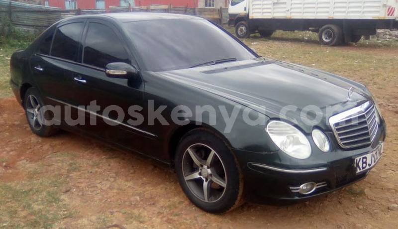 Big with watermark 40901953 2256825171212263 4534138854889750528 n