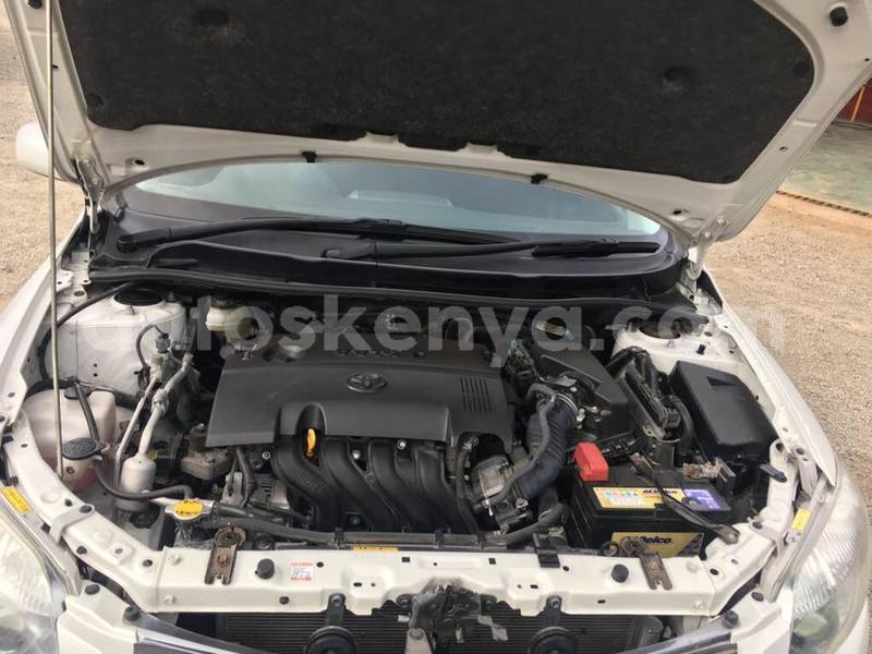 Big with watermark 40537142 2255623734665740 8440227347914817536 n