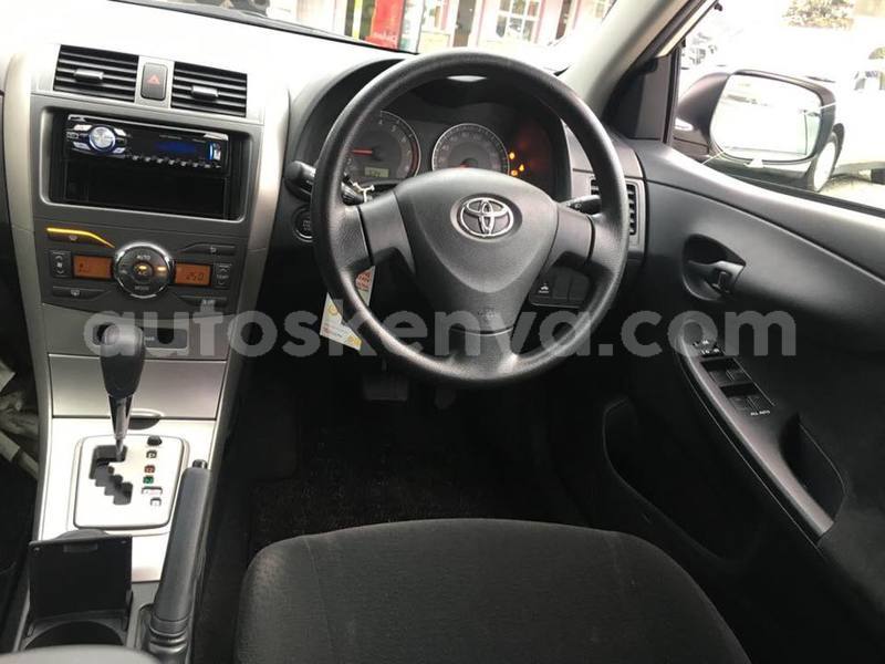 Big with watermark 40508772 2255623637999083 3829294245844353024 n